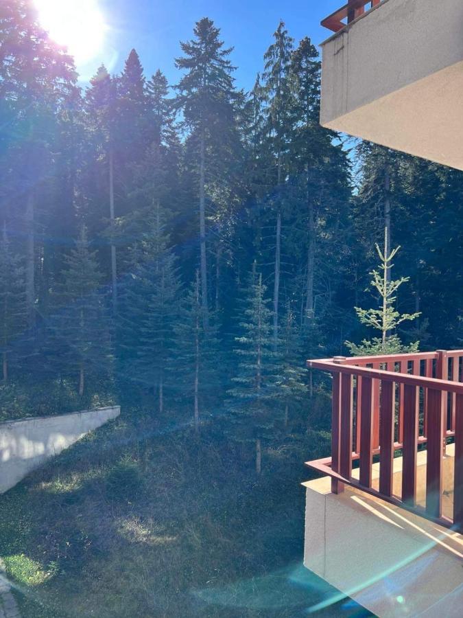 Arboro Flora Residence Studio Borovets Bagian luar foto