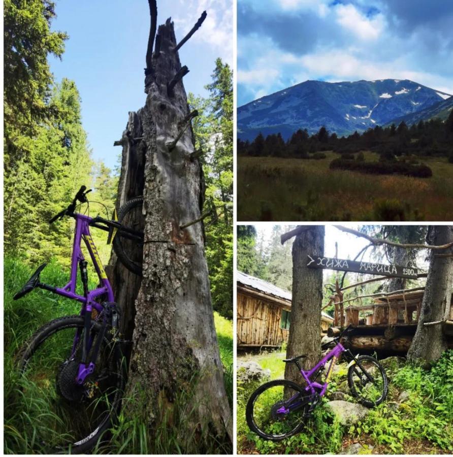 Arboro Flora Residence Studio Borovets Bagian luar foto