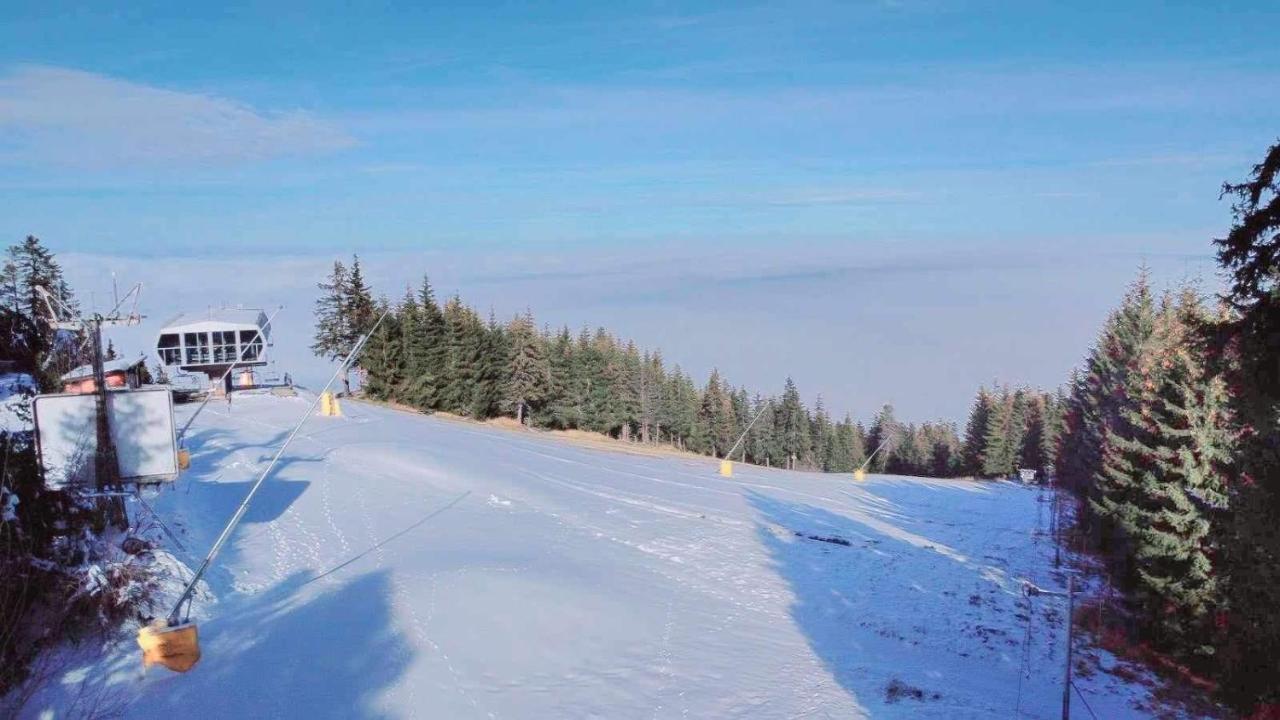 Arboro Flora Residence Studio Borovets Bagian luar foto