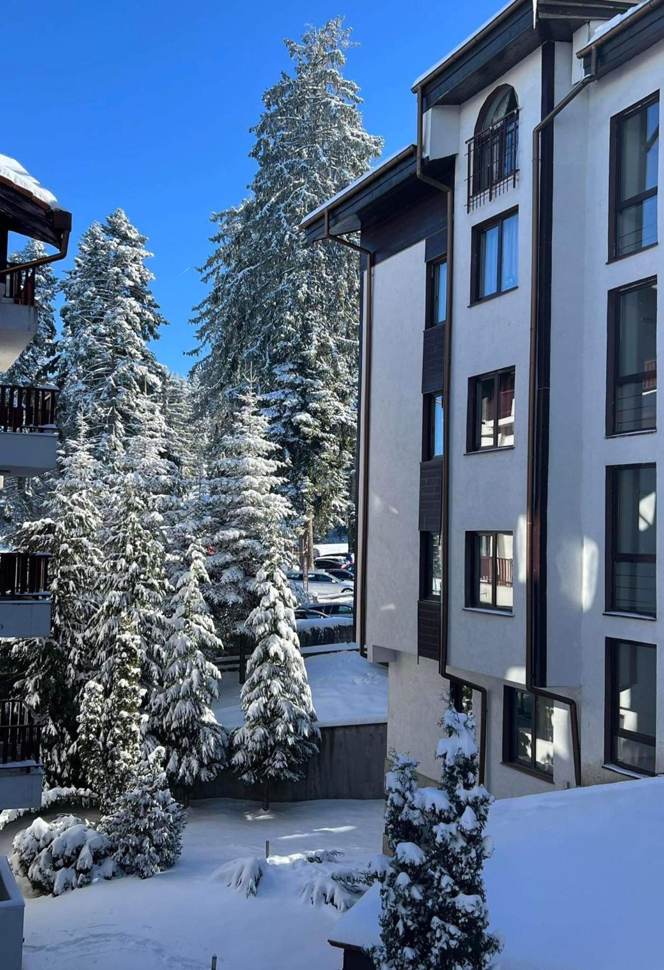 Arboro Flora Residence Studio Borovets Bagian luar foto