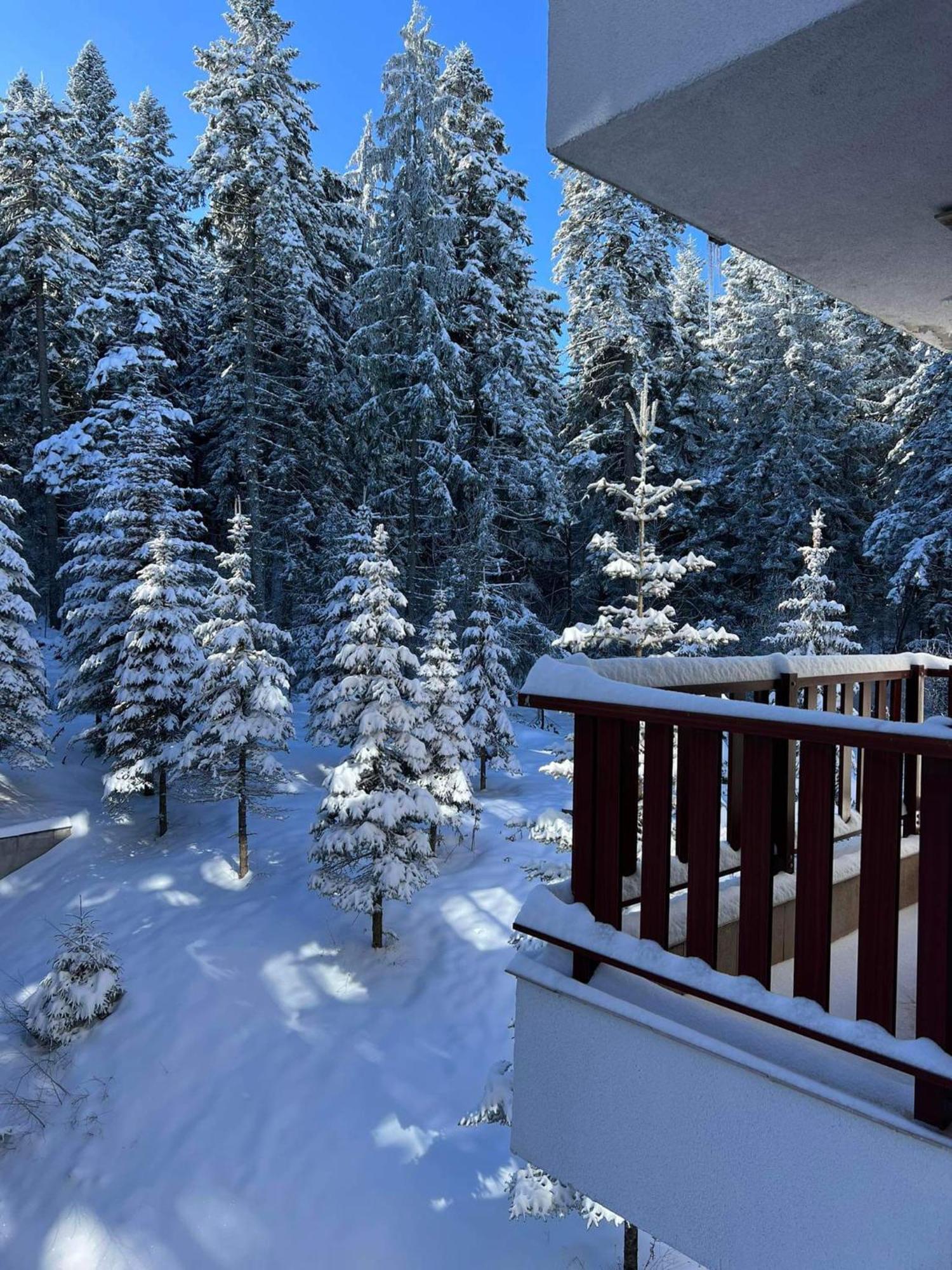 Arboro Flora Residence Studio Borovets Bagian luar foto