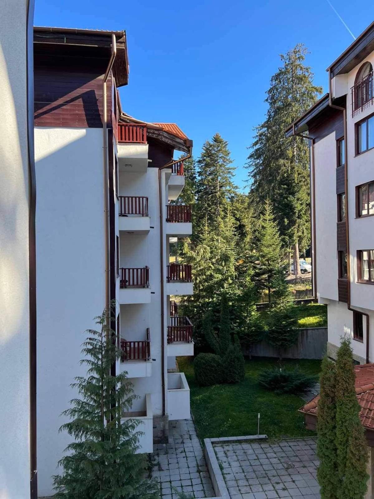 Arboro Flora Residence Studio Borovets Bagian luar foto