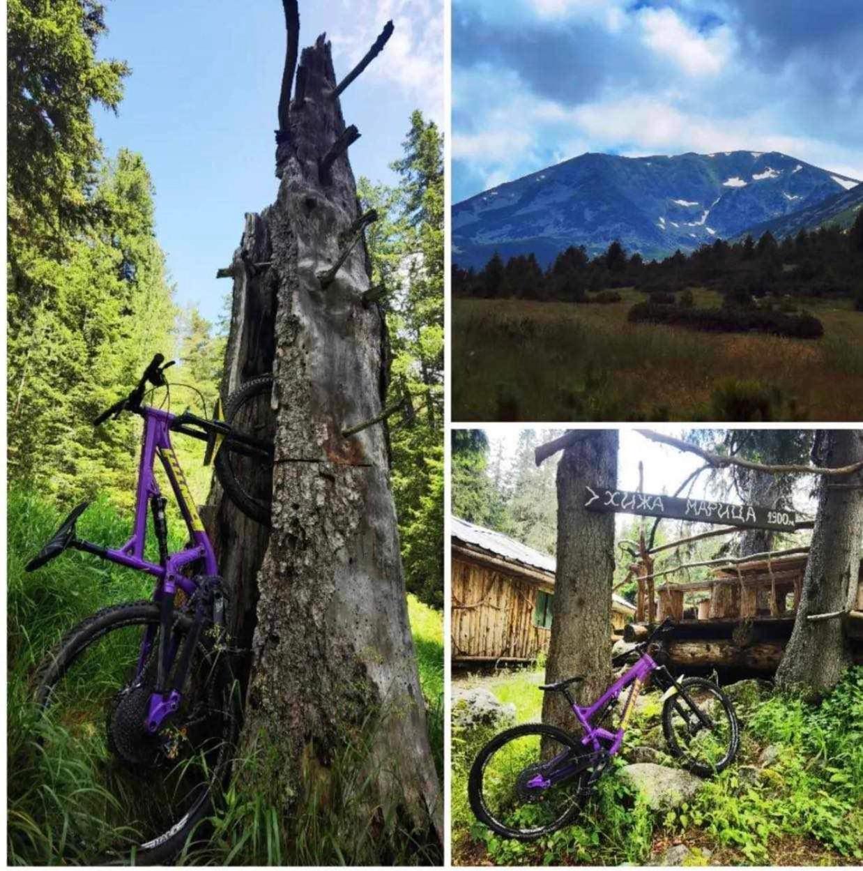 Arboro Flora Residence Studio Borovets Bagian luar foto