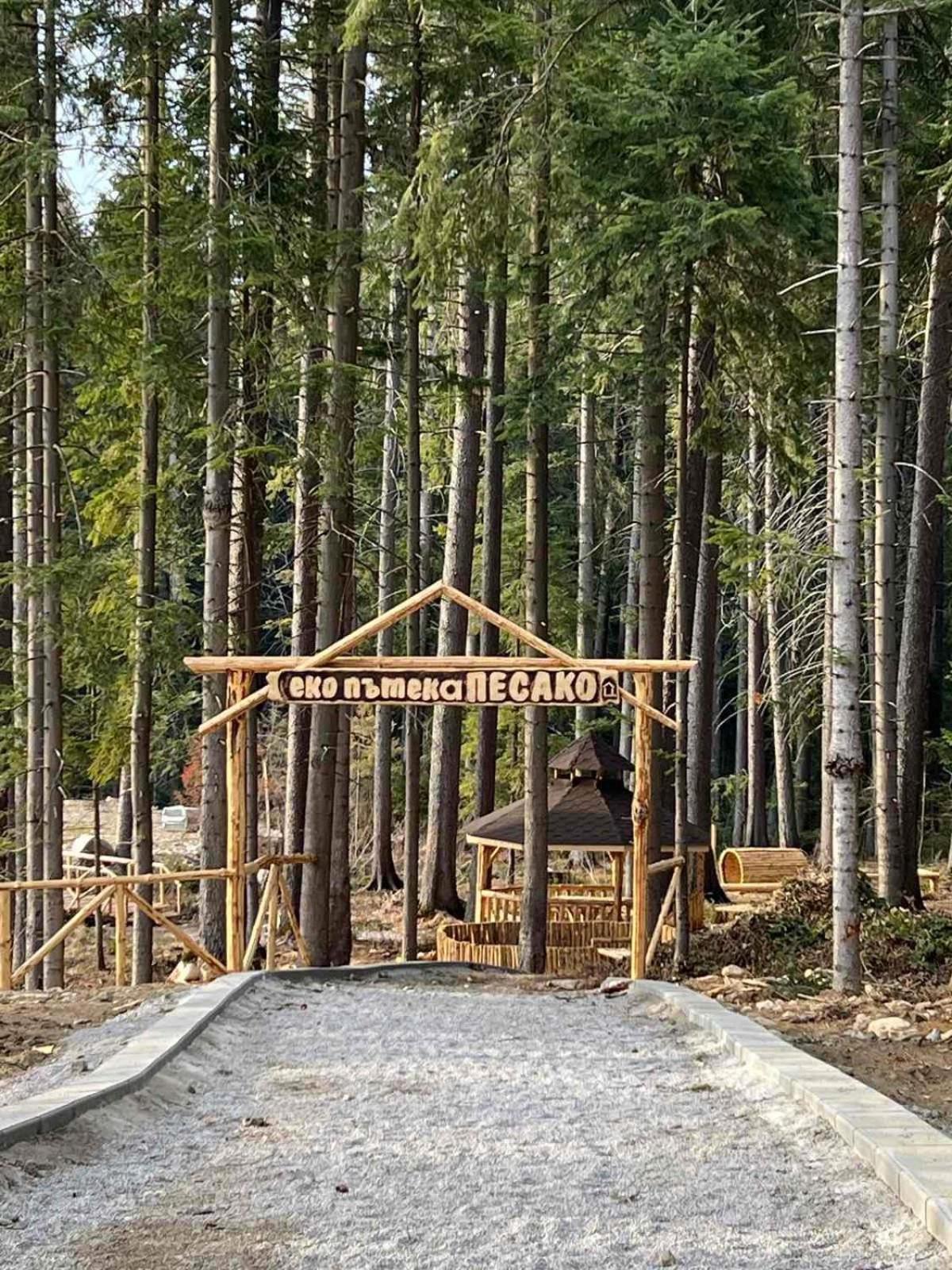 Arboro Flora Residence Studio Borovets Bagian luar foto
