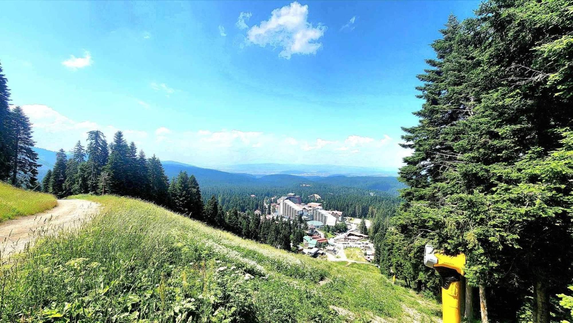 Arboro Flora Residence Studio Borovets Bagian luar foto